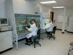 Kamiya Laboratory