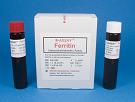 Ferritin