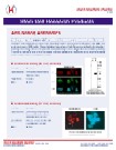 Nanog Flyer