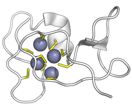 Metallothionein