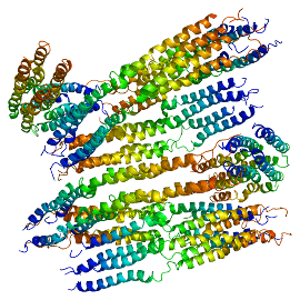 Apolipoproteins